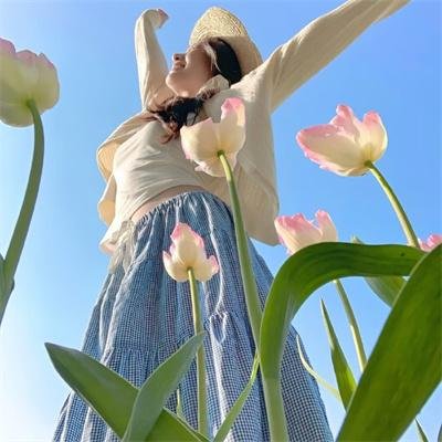 黄金加勒比